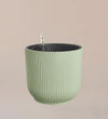 Mint Pot with Self-Watering Insert (18cm)