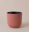 Rose Pot with Self-watering Insert
