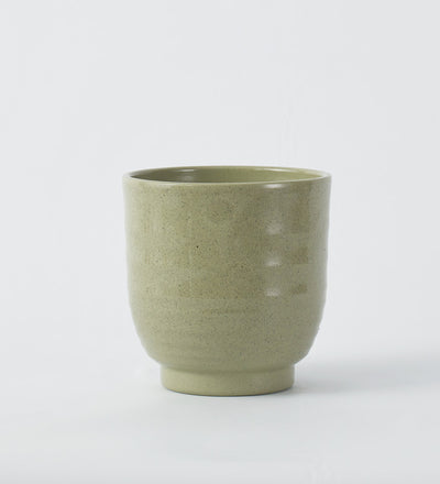 Green Ares Pot