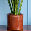 Light Brown Lucca Pot 19cm