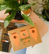 Pepin Iconic Mini Olla Trio
