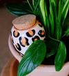 Pepin Hydrating Olla Leopard