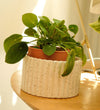 Pepin White Self-Contained Pot