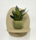 Green Pot