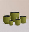 Green Pot with Self-watering Insert