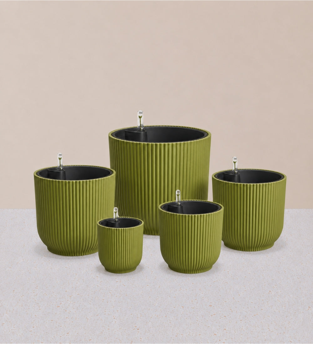 Green Pot with Self-watering Insert