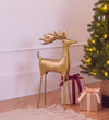 Gold Deer