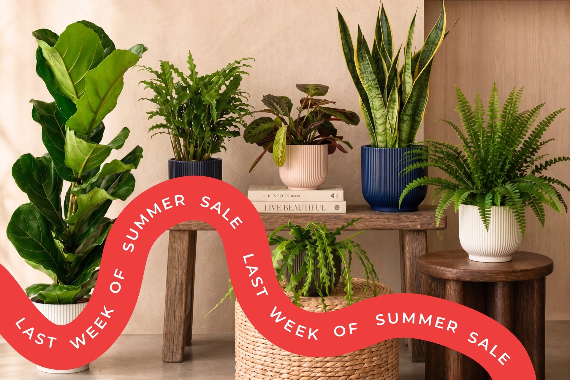 20% off everything