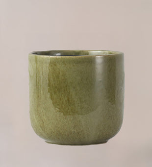 Nine Gloss Olive Green 22cm