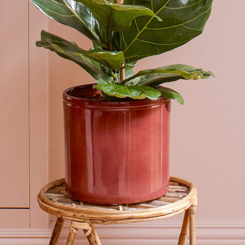 Light red Lucca Pot 23cm