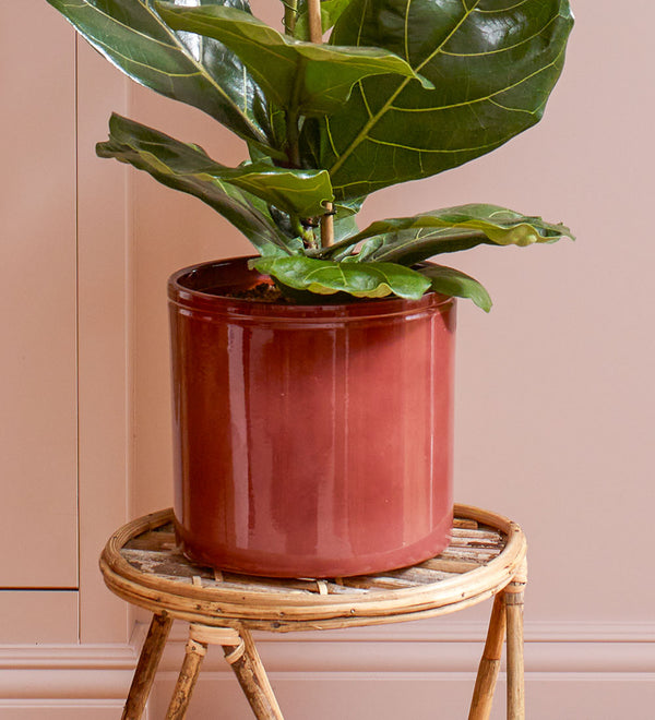 Light red Lucca Pot 23cm