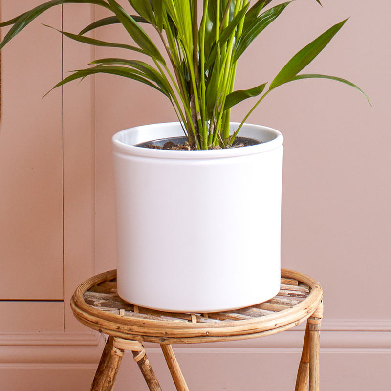 White Lucca Pot 23cm