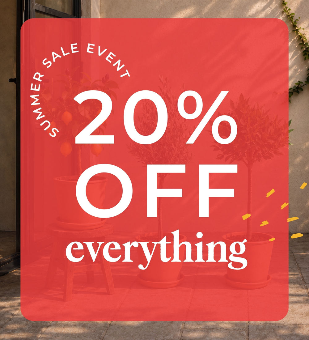 Summer Sale
