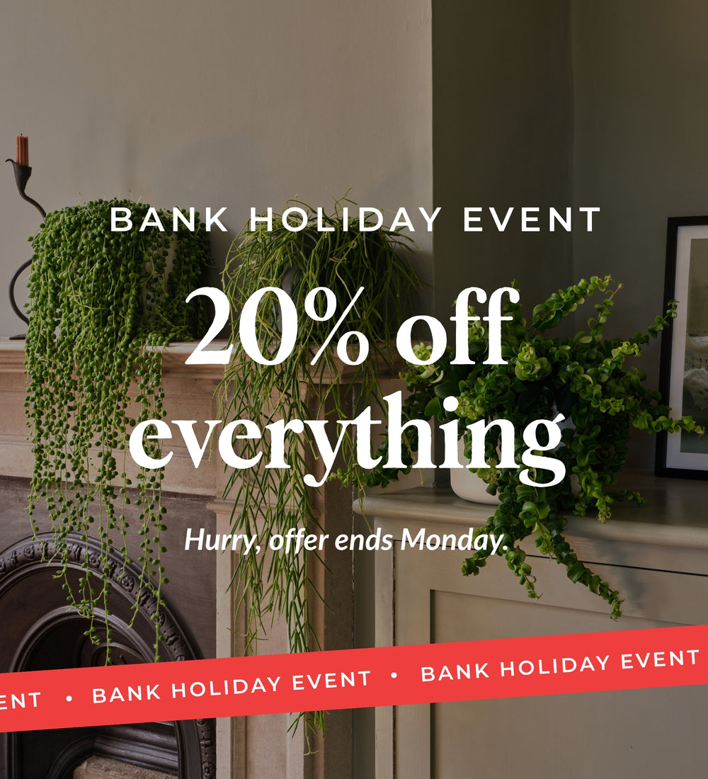 Summer Sale