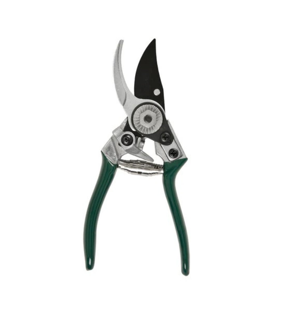 Houseplant Secateurs