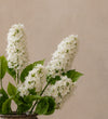 Artificial Hydrangea Paniculata Bunch