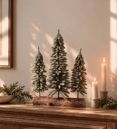 Christmas Trees on Log