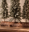 Christmas Trees on Log