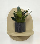 Grey Pot