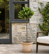 The Tuscan Terrace