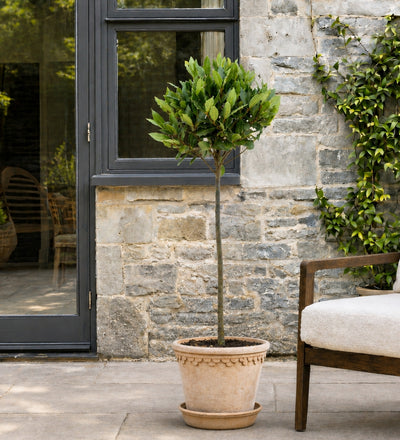 The Tuscan Terrace