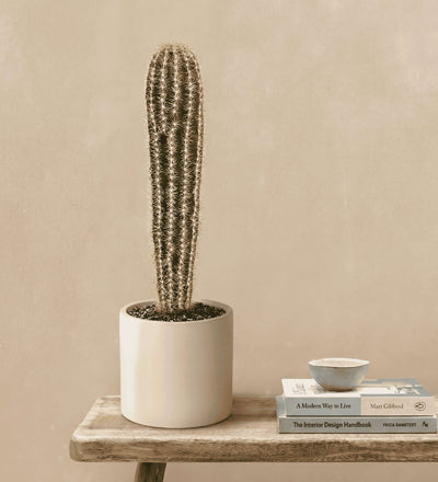 Artificial Pachycereus Cactus