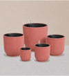 Rose Pot with Self-watering Insert
