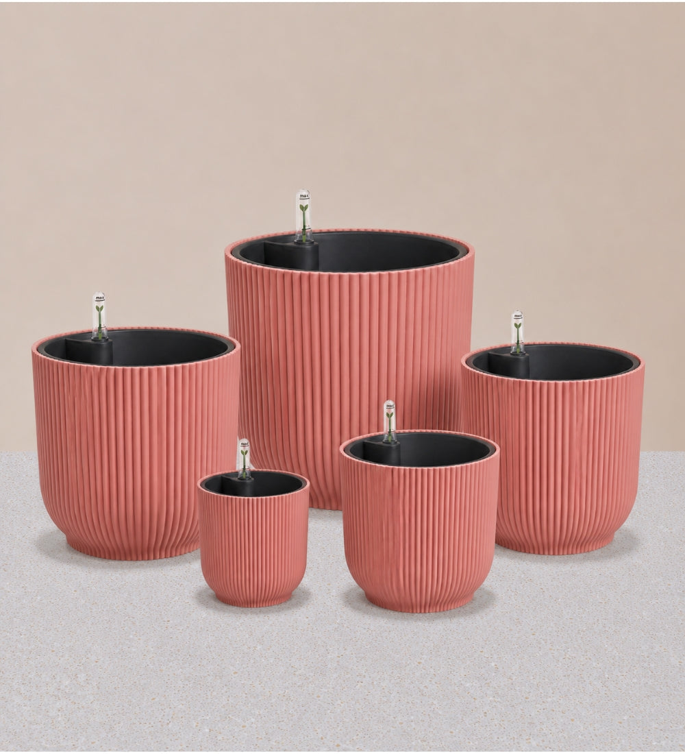 Rose Pot with Self-watering Insert