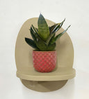 Pink Pot