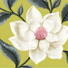 667602_LIT_PDF_BeardsandDaisies-front