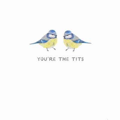 667800_LIT_PDF_BeardsandDaisies-front