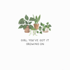 667879_LIT_PDF_BeardsandDaisies-front