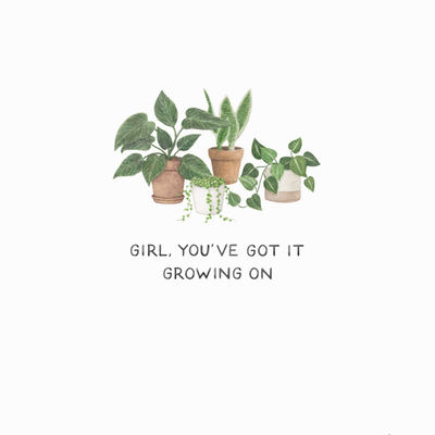 667879_LIT_PDF_BeardsandDaisies-front