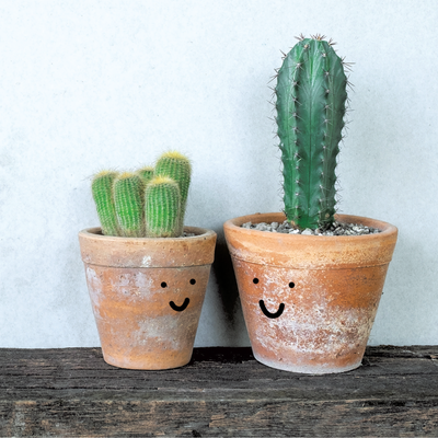 667992_LIT_PDF_BeardsandDaisies-front