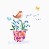 668920_LIT_PDF_BeardsandDaisies-front