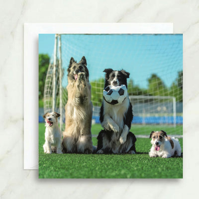 Dogs Playing Football Card