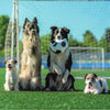 Dogs Playing Football Card