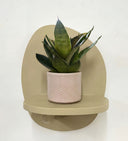 Taupe Pot