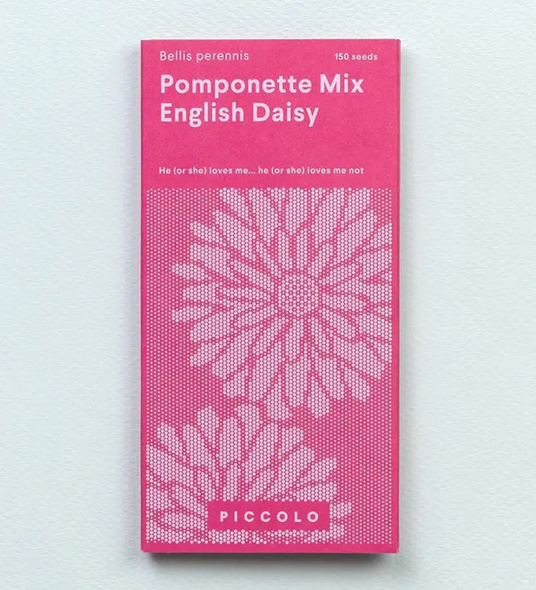 Piccolo English Daisy Seeds