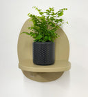 Grey Pot
