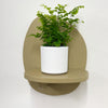 Mini Maidenhair Fern & Pot