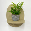 Mini Maidenhair Fern & Pot
