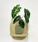 Khaki Pot