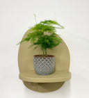Blue Pot