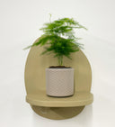 Taupe Pot