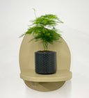 Grey Pot
