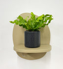 Grey Pot