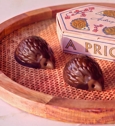 Milk Chocolate Hedgehogs Gift Box