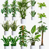 Cool Grey Air Purifying Bundle