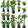 Graphite Air Purifying Bundle
